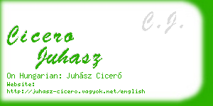cicero juhasz business card